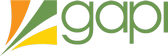GAPI